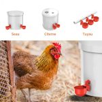 Abreuvoir-automatique-pour-poules-technique-1190