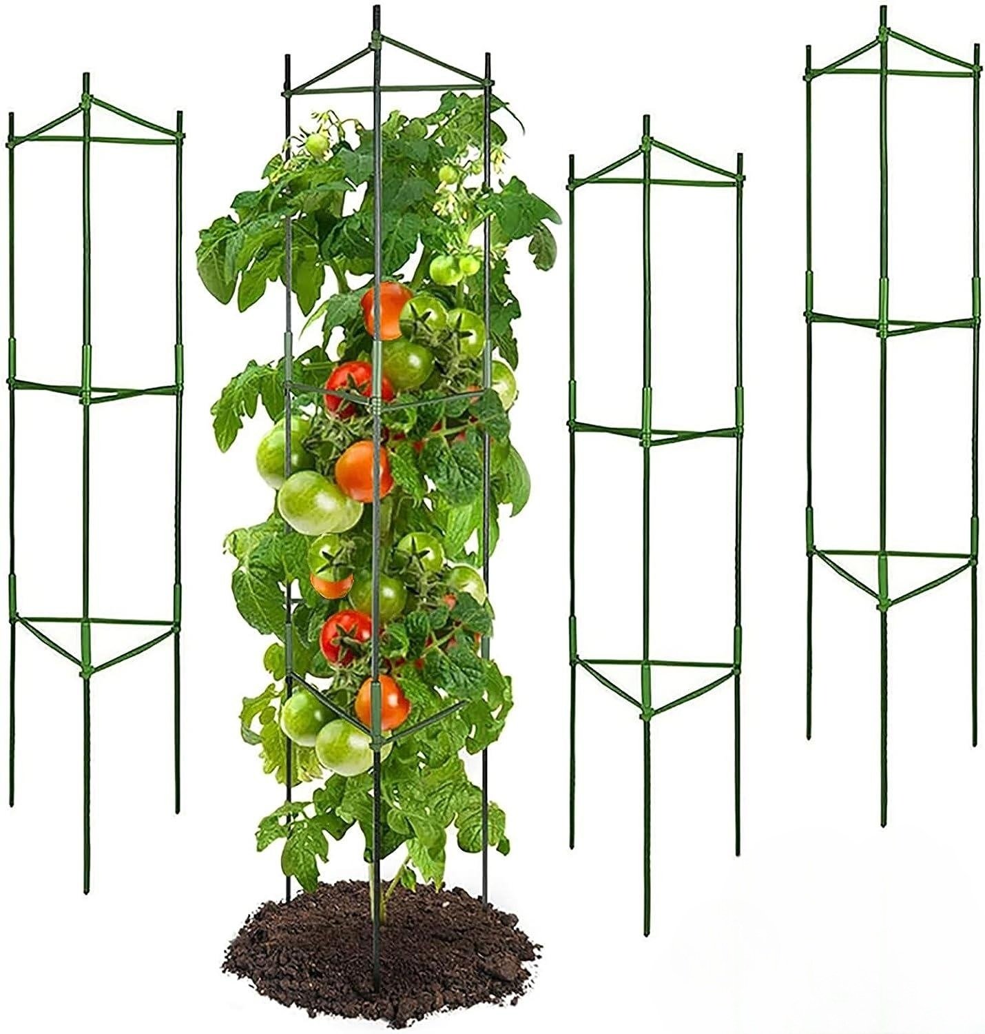 Cage à tomates modulable