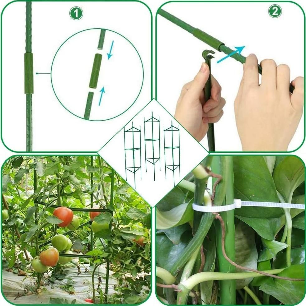 Cage à tomates modulable