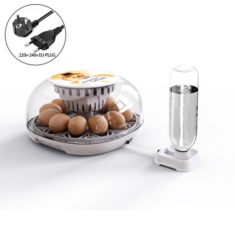 Couveuse 12 œufs à dôme transparent - Blanc prise UE