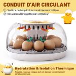 Couveuse-12-ufs-a-dome-transparent-technique-2274