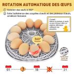 Couveuse-12-ufs-a-dome-transparent-technique-3120