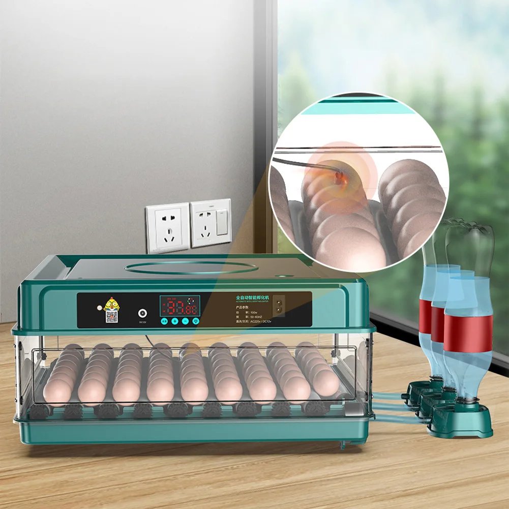 Couveuse-automatique-avec-mire-ufs-picture-1