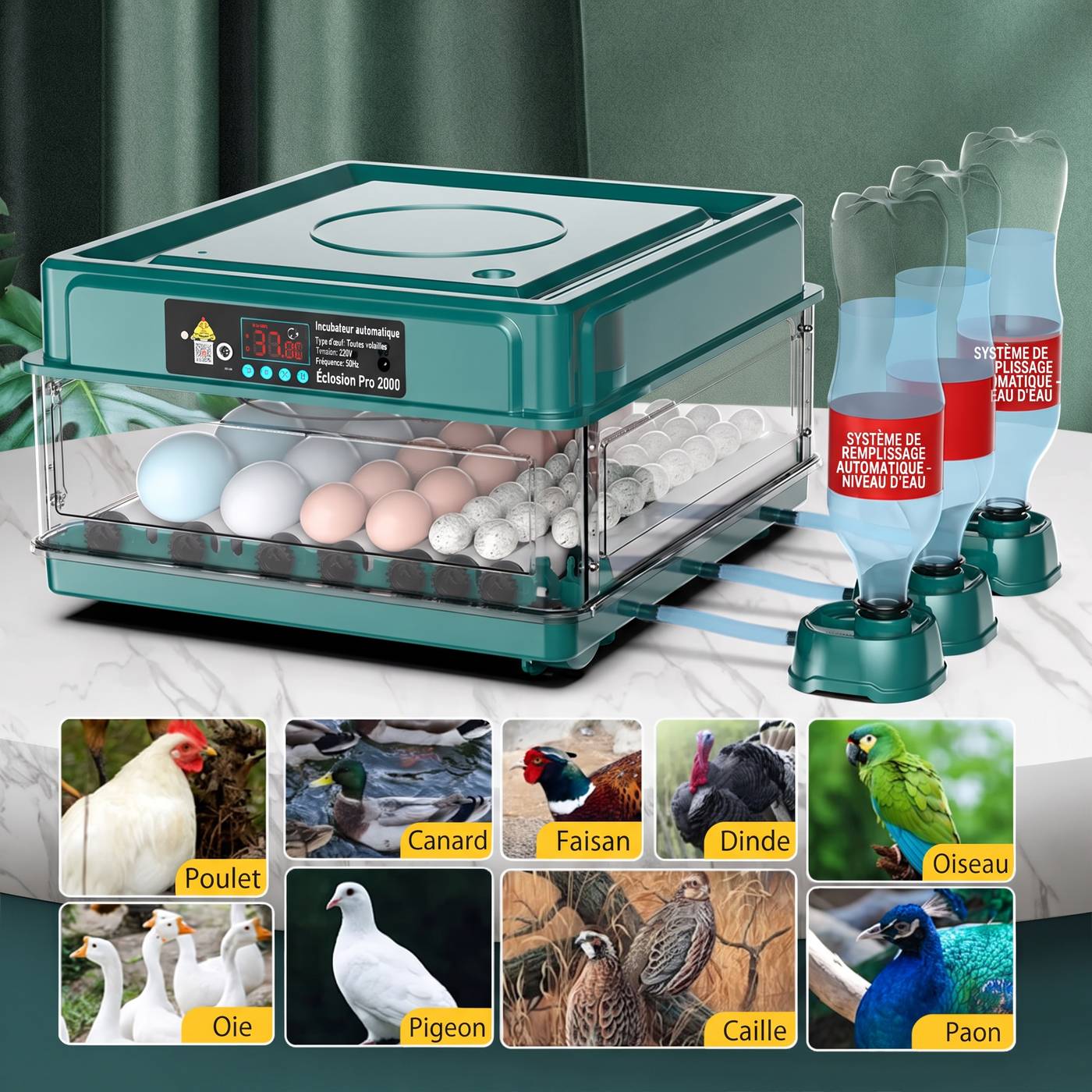 Couveuse-automatique-avec-mire-ufs-technique-5071