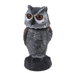 Faux-hibou-pour-pigeon-picture-1