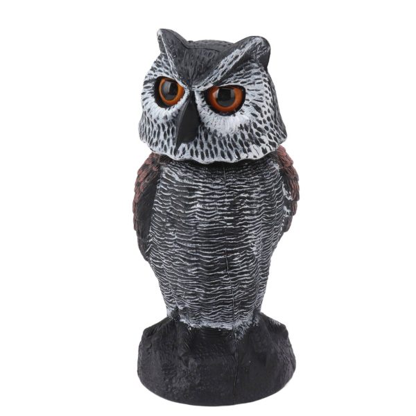 Faux hibou pour pigeon