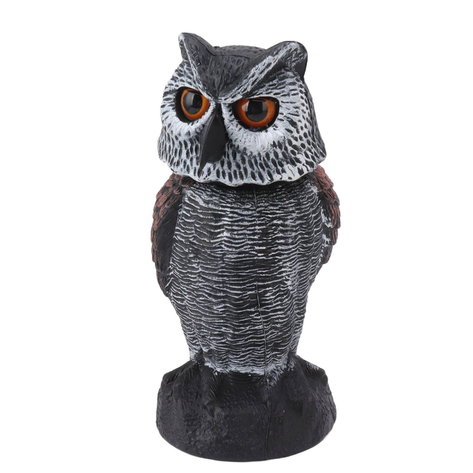 Faux-hibou-pour-pigeon-picture-1