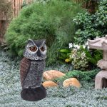 Faux-hibou-pour-pigeon-picture-2