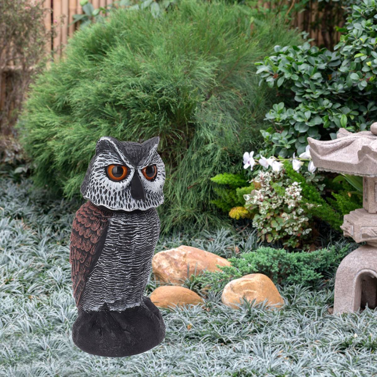 Faux-hibou-pour-pigeon-picture-2