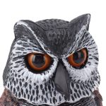 Faux-hibou-pour-pigeon-picture-3