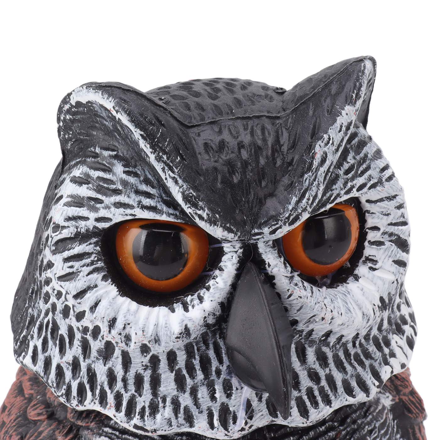Faux-hibou-pour-pigeon-picture-3