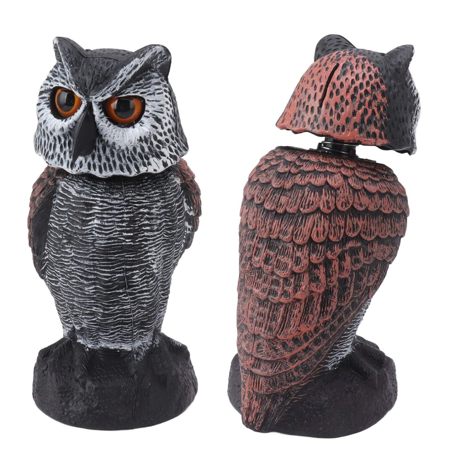 Faux-hibou-pour-pigeon-picture-4