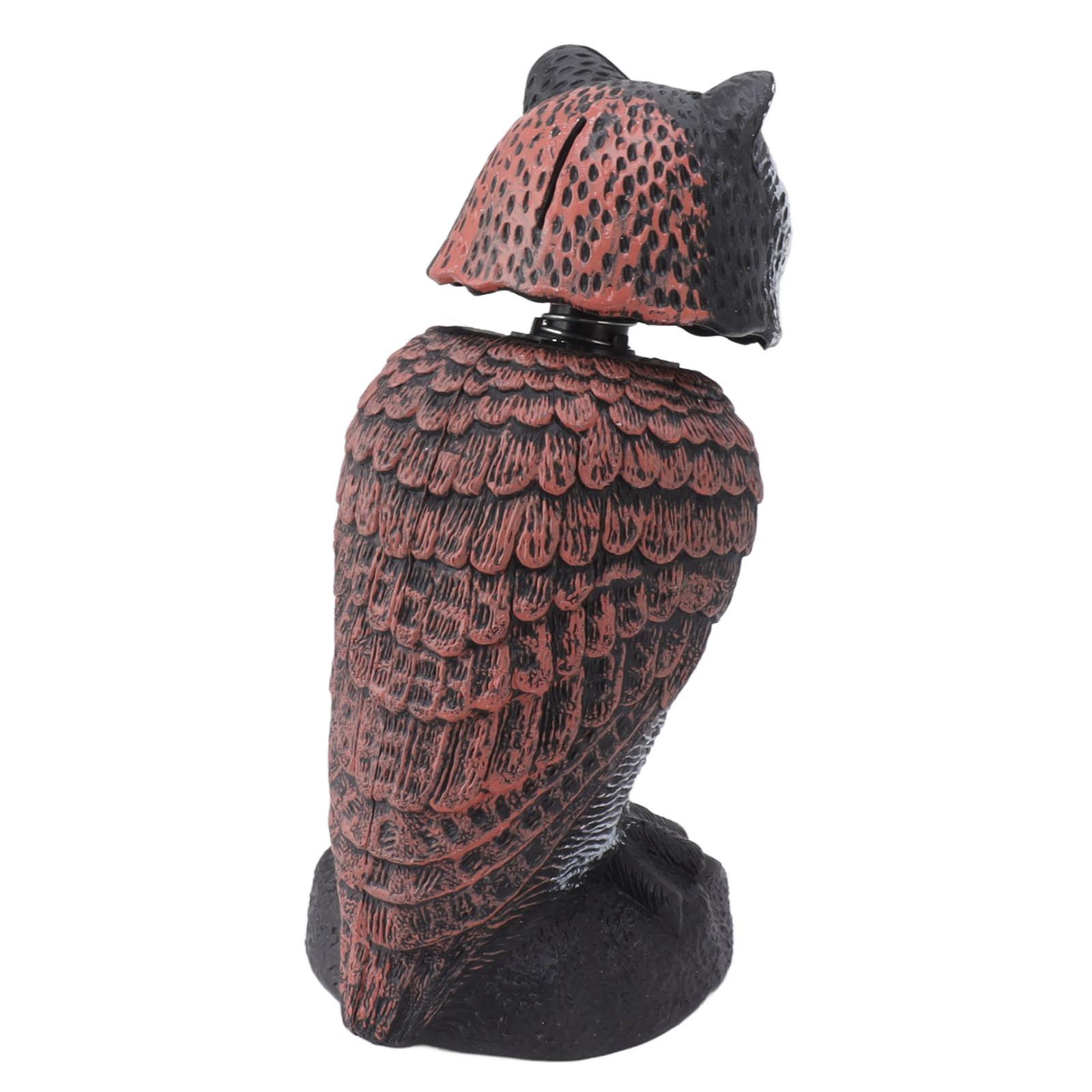 Faux-hibou-pour-pigeon-picture-5