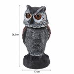 Faux-hibou-pour-pigeon-technique-3911