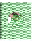 Grillage-plastique-pour-poulailler-picture-2