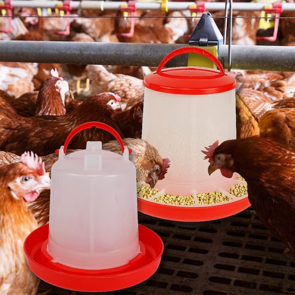 Lot mangeoire et abreuvoir poule