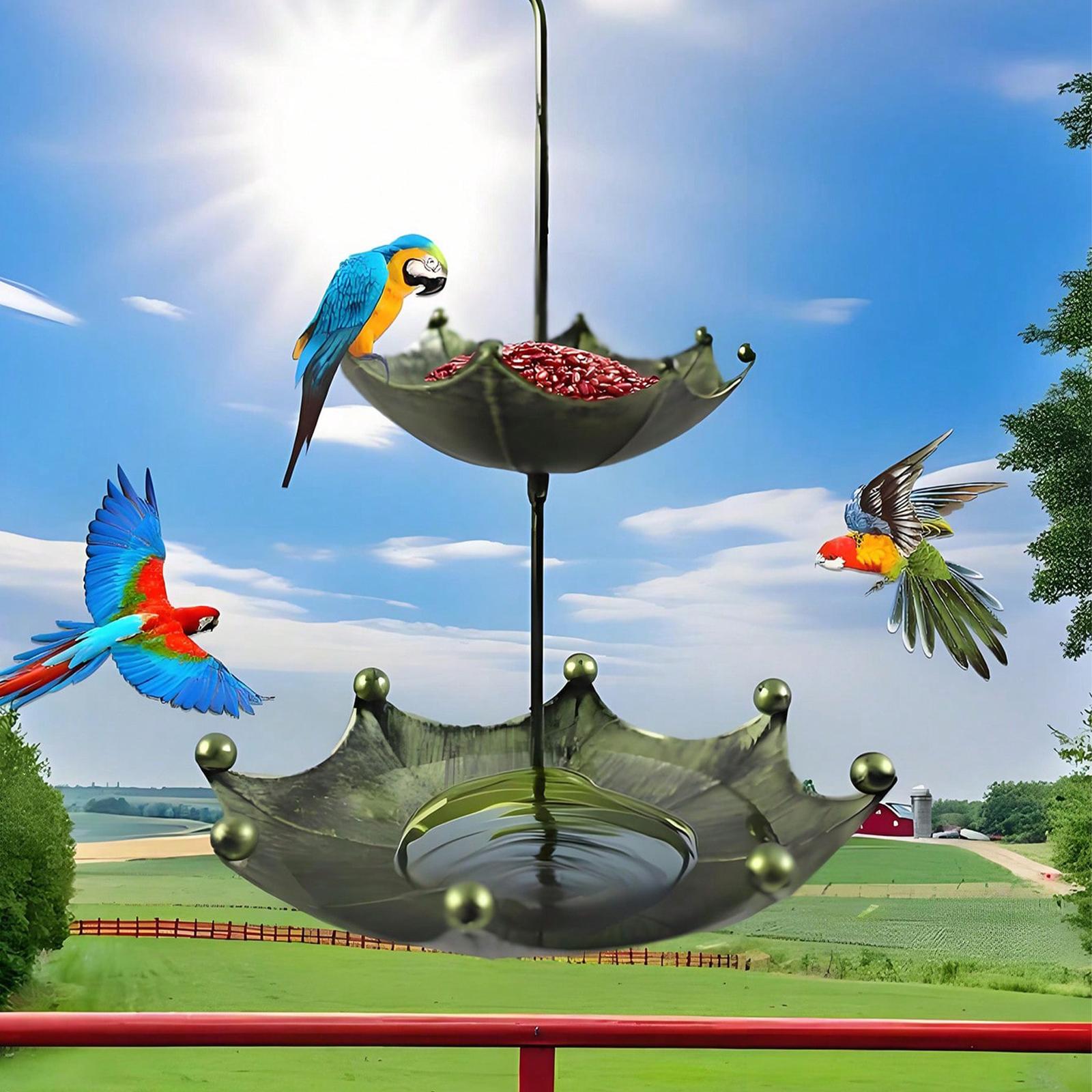 Mangeoire-a-oiseaux-suspendue-picture-2