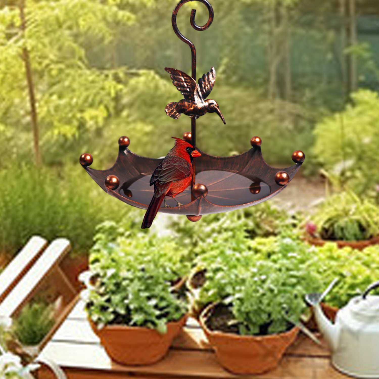 Mangeoire-a-oiseaux-suspendue-picture-3