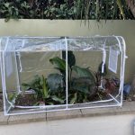 Petite serre de balcon