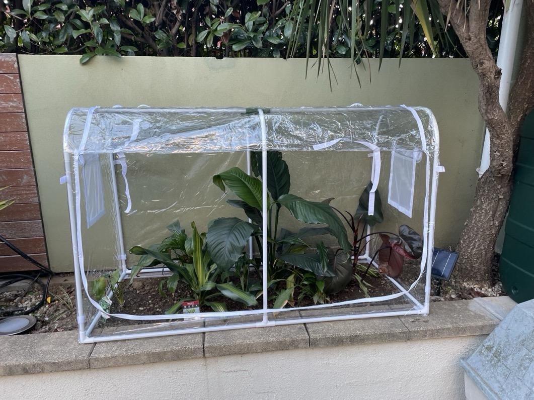 Petite serre de balcon