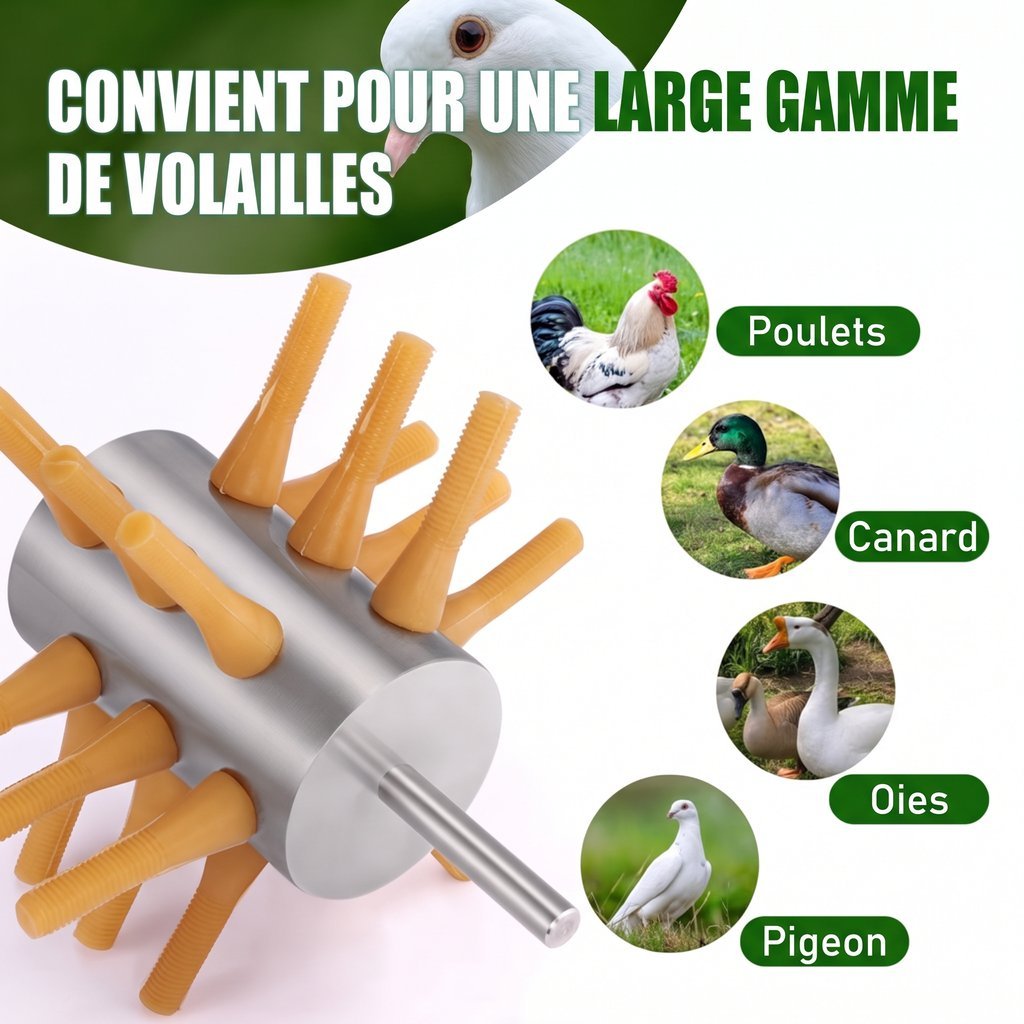 Plumeuse-a-volaille-pour-perceuse-technique-3875