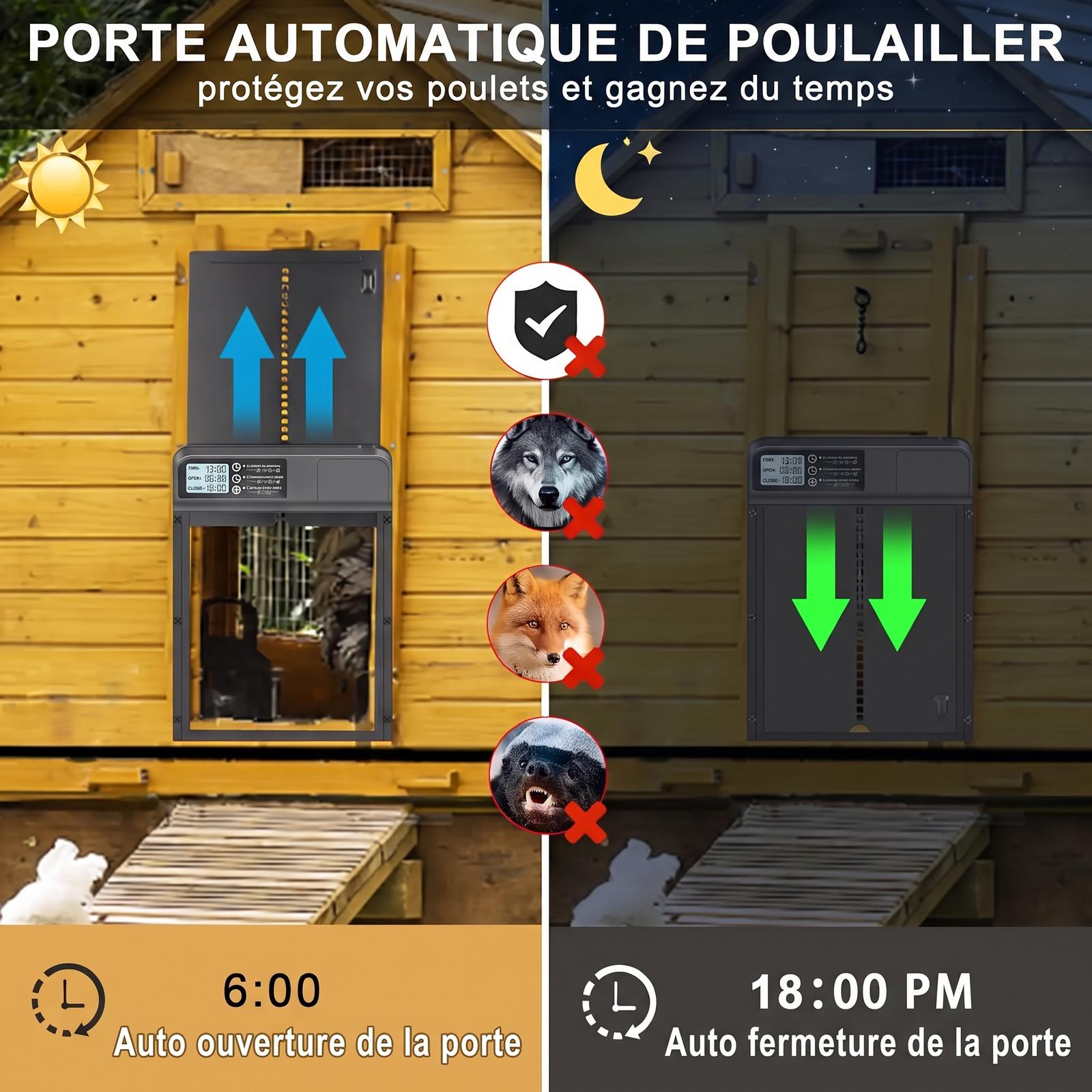 Porte-de-poulailler-automatique-technique-2682